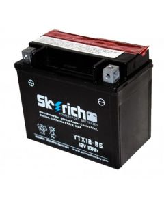 [SKYRICH] Аккумулятор YTX12-BS 