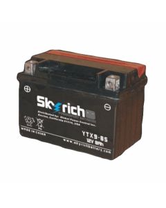 [SKYRICH] Аккумулятор YTX9-BS 